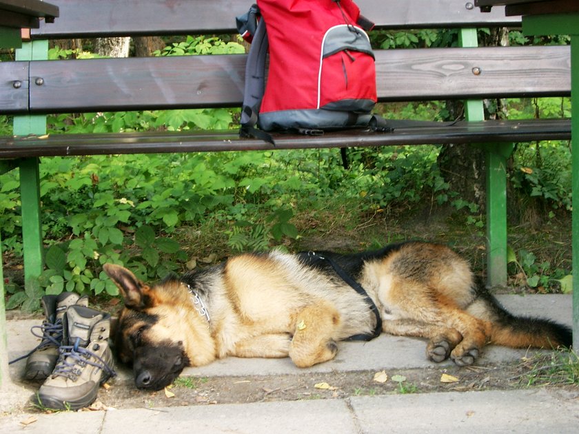 Sächsische Schweiz 200708 145